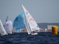 2011palma IMG 8660