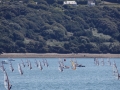 2012CFEG 120819 11