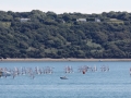 2012CFEG 120819 12