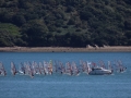 2012CFEG 120820 05