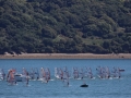 2012CFEG 120820 06