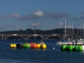 2012CFEG 120820 11