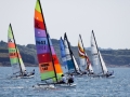 CFEG2011 (21)
