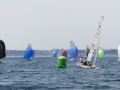 CFEG2011 (25)