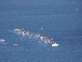 Weymouth Portland 17