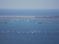 Weymouth Portland 26